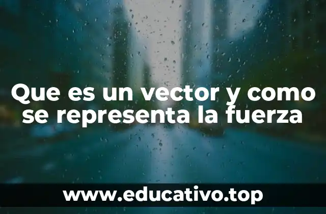 Que es un vector y como se representa la fuerza