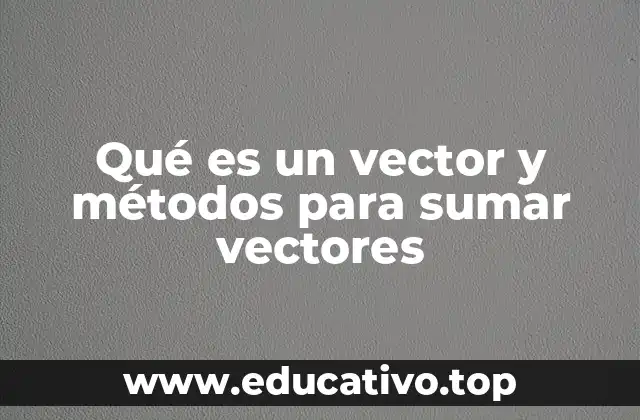 Qué es un vector y métodos para sumar vectores