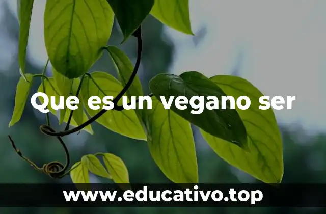 Que es un vegano ser