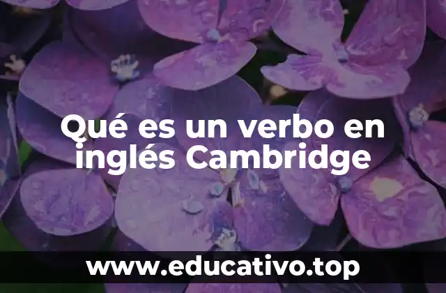 Qué es un verbo en inglés Cambridge