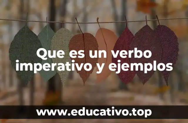 Que es un verbo imperativo y ejemplos
