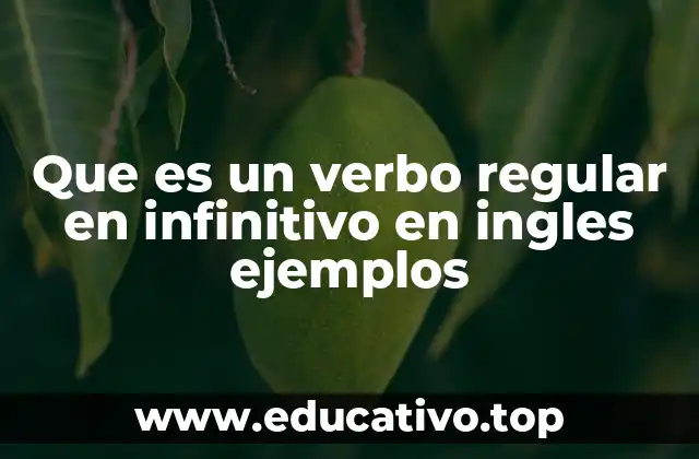 Que es un verbo regular en infinitivo en ingles ejemplos