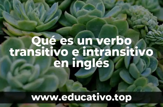 Qué es un verbo transitivo e intransitivo en inglés