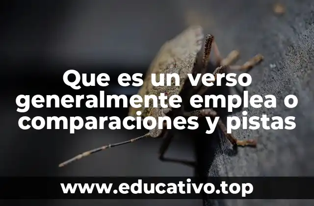 Que es un verso generalmente emplea o comparaciones y pistas
