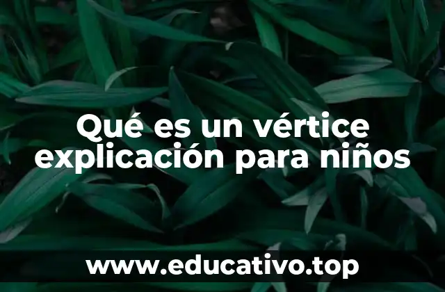 Qué es un vértice explicación para niños
