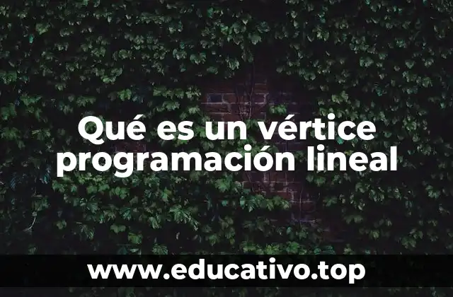 Qué es un vértice programación lineal