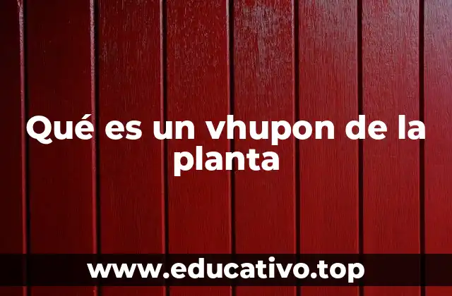 El papel de los vhupones en la estructura de la planta