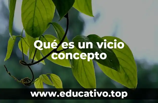 Errores en la conceptualización y sus consecuencias