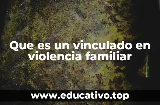 Que es un vinculado en violencia familiar