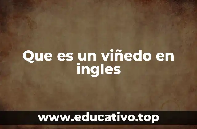 Que es un viñedo en ingles