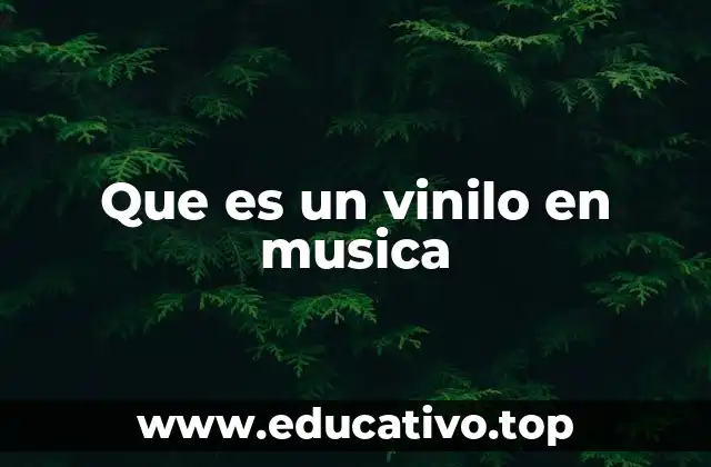 Que es un vinilo en musica
