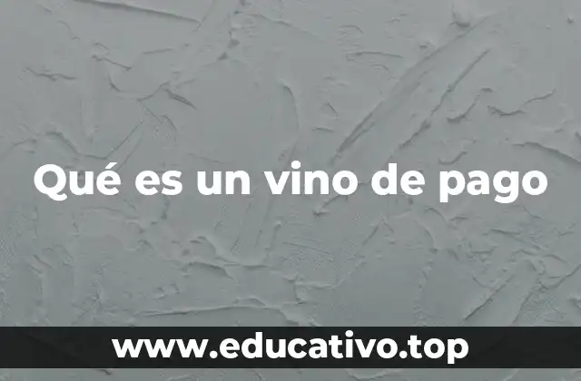 Qué es un vino de pago