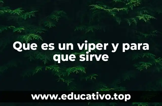 Que es un viper y para que sirve
