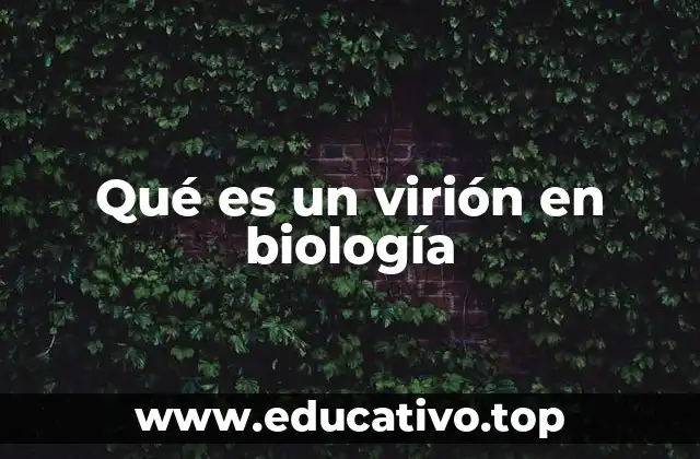 Qué es un virión en biología
