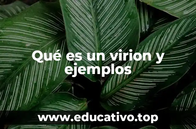Qué es un virion y ejemplos