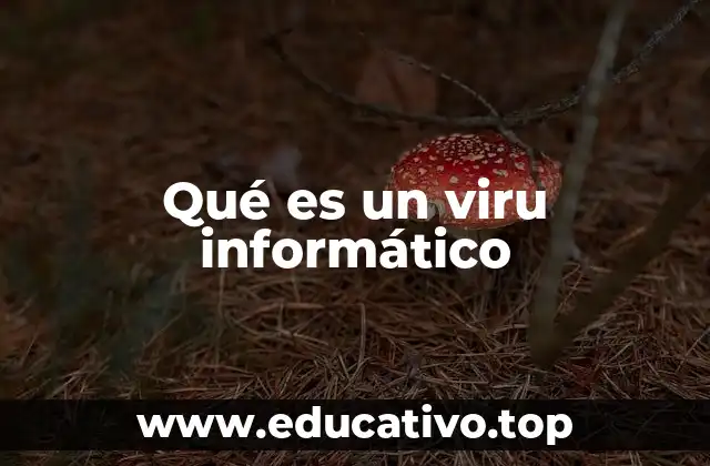 Qué es un viru informático
