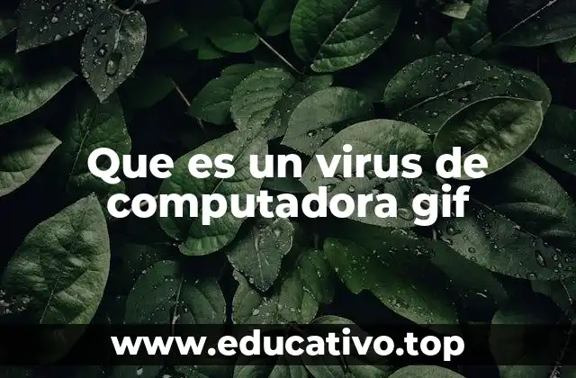 Que es un virus de computadora gif