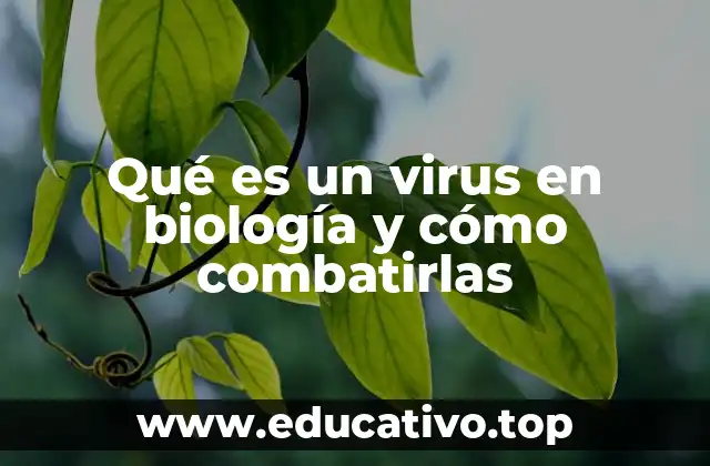 Qué es un virus en biología y cómo combatirlas