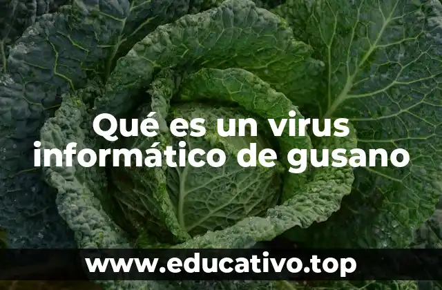 Qué es un virus informático de gusano