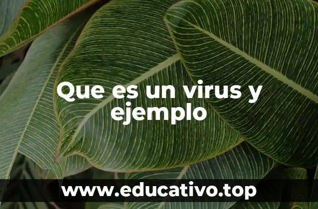 Que es un virus y ejemplo