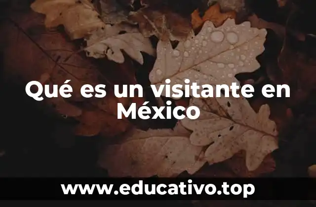 Qué es un visitante en México