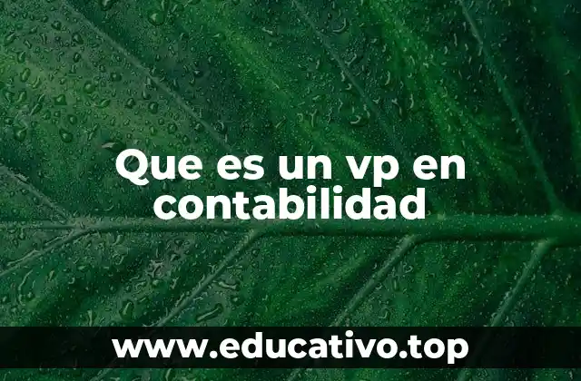 Que es un vp en contabilidad