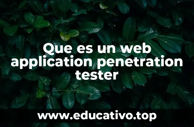Que es un web application penetration tester