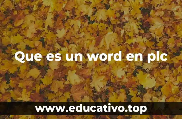 Que es un word en plc
