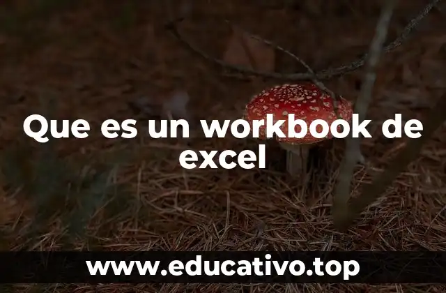 Que es un workbook de excel