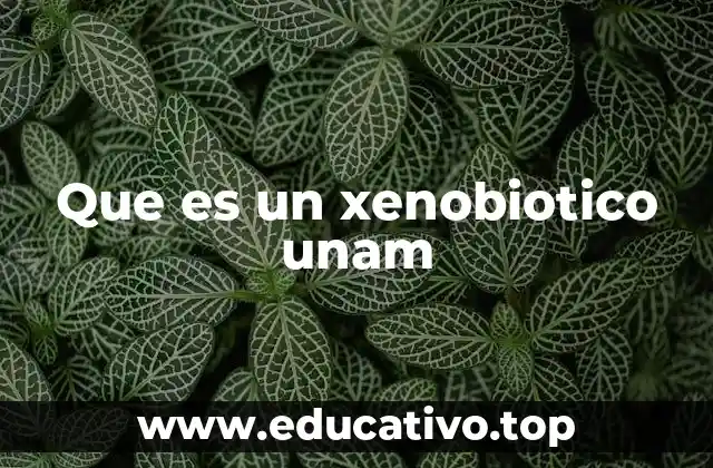 Que es un xenobiotico unam