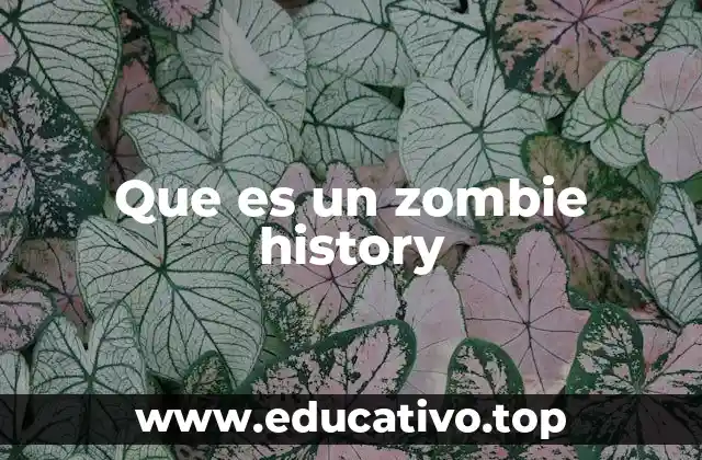 Que es un zombie history