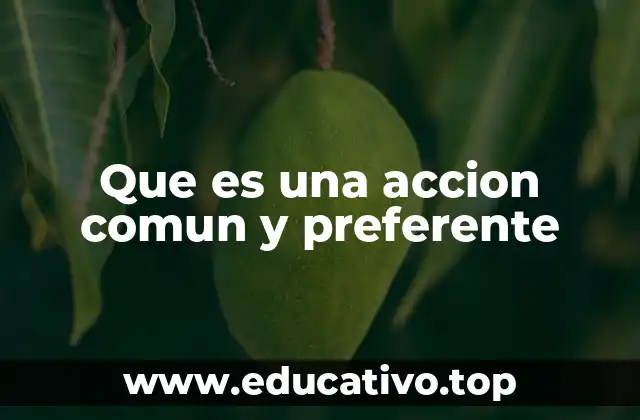 Que es una accion comun y preferente