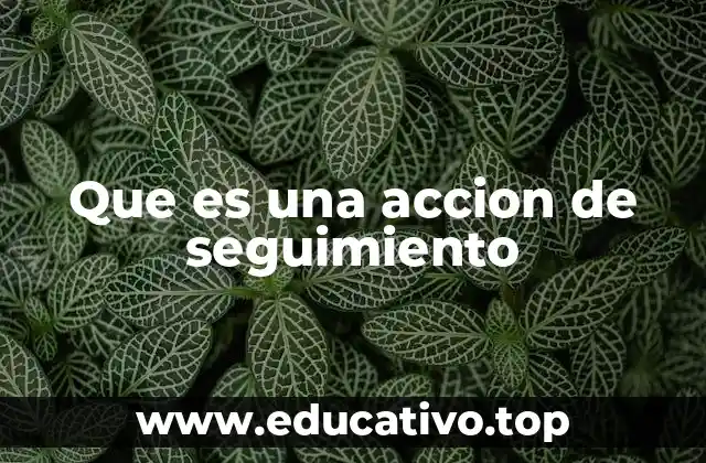 Que es una accion de seguimiento