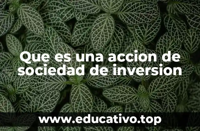 Que es una accion de sociedad de inversion