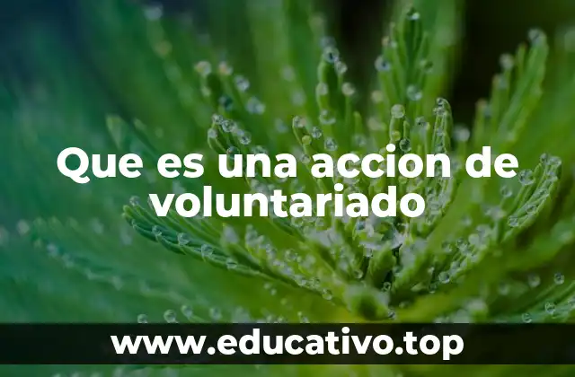 Que es una accion de voluntariado