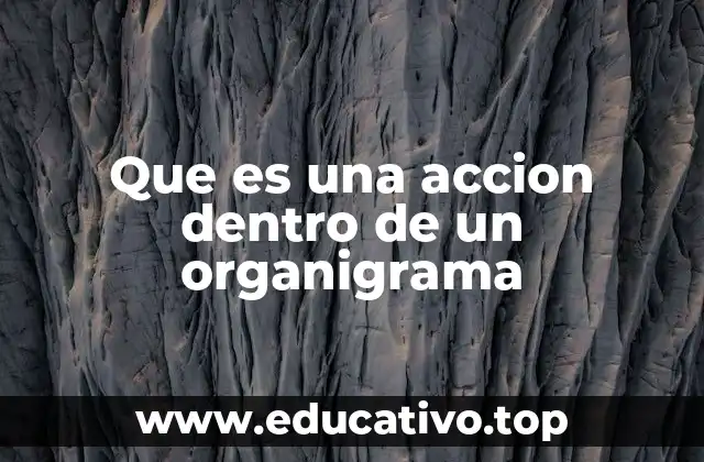 Que es una accion dentro de un organigrama