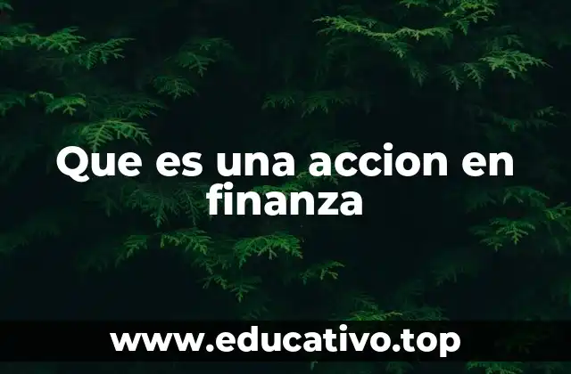 Que es una accion en finanza