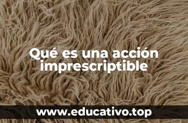 Qué es una acción imprescriptible