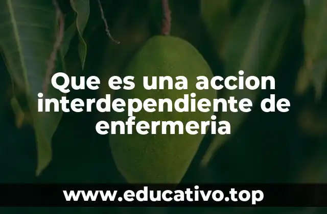Que es una accion interdependiente de enfermeria