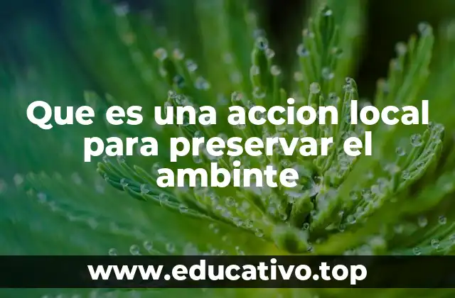 Que es una accion local para preservar el ambinte
