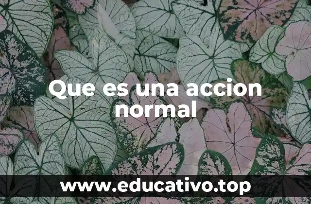 Que es una accion normal