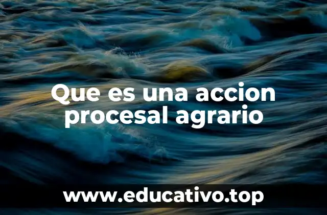 Que es una accion procesal agrario