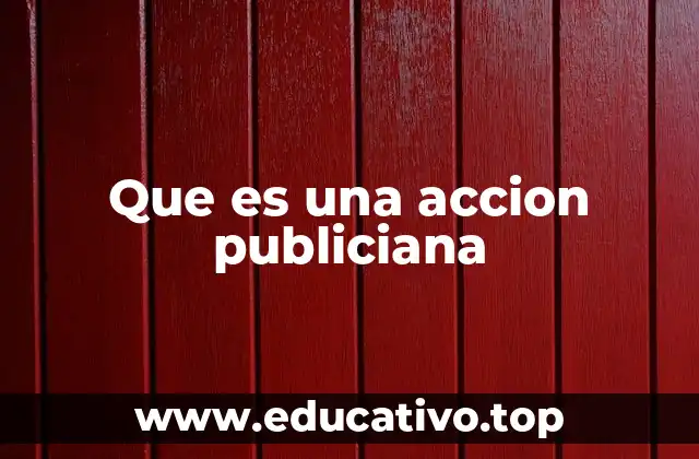 Que es una accion publiciana