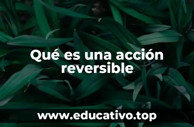 Qué es una acción reversible