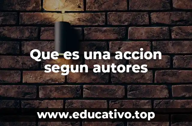 La acción como fenómeno social