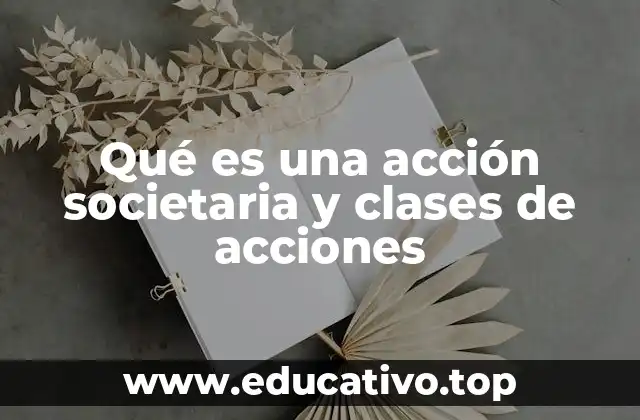 Qué es una acción societaria y clases de acciones