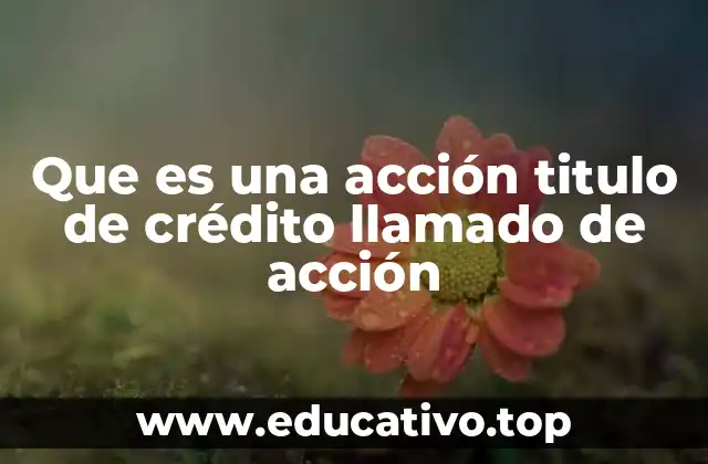 Que es una acción titulo de crédito llamado de acción