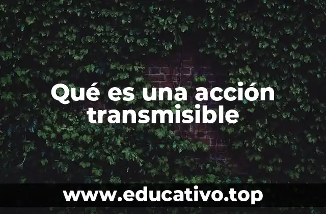 Qué es una acción transmisible