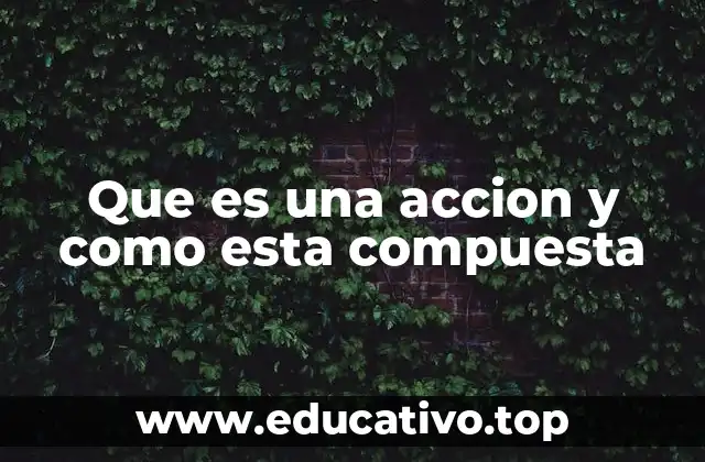 Que es una accion y como esta compuesta