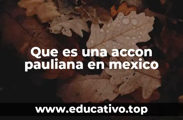 Que es una accon pauliana en mexico